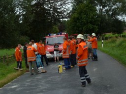 Foto Feuerwehr Frstenhagen lspur 2011