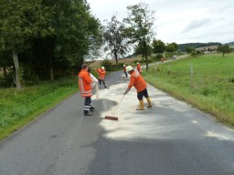 Foto Feuerwehr Frstenhagen lspur 2011